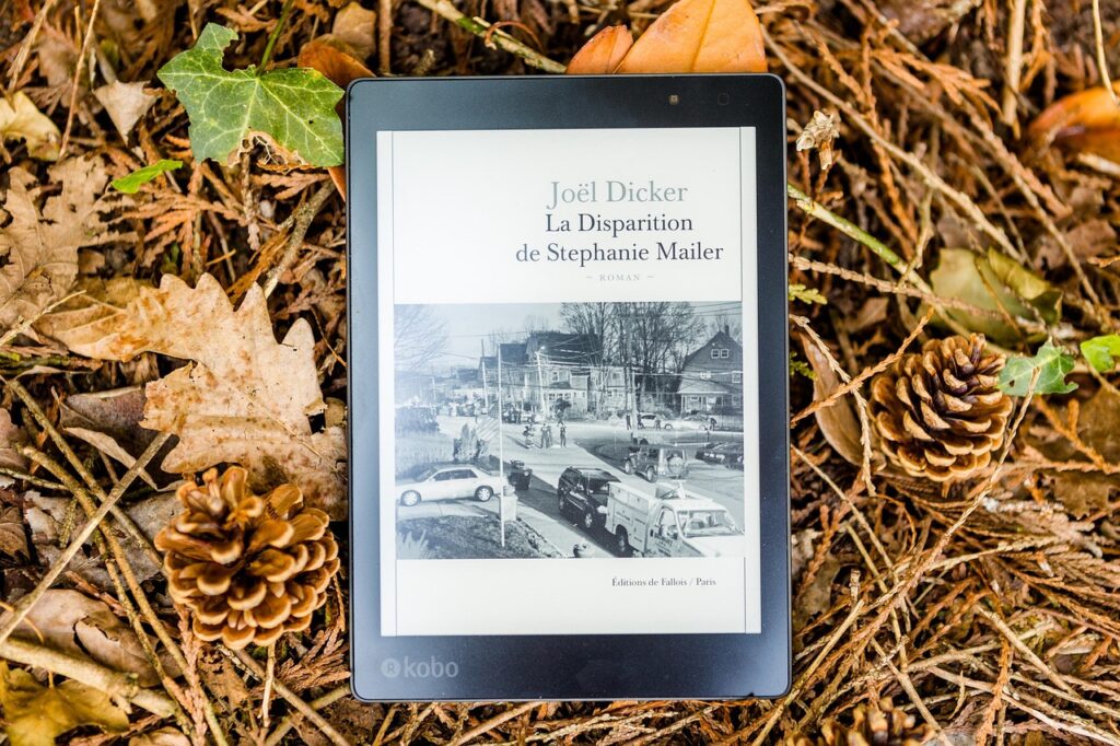 fall, read, reading, book, pine cone, leaf, dead leaf, e-book, season, foliage, sheets, nature, digital, reading light, kobo, reading, e-book, e-book, e-book, e-book, e-book, kobo, kobo